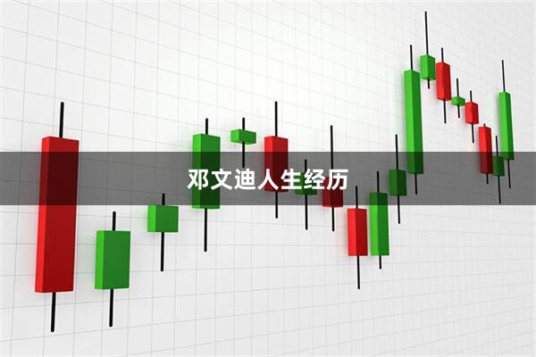 邓文迪人生经历