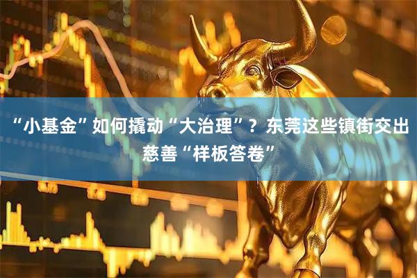 “小基金”如何撬动“大治理”？东莞这些镇街交出慈善“样板答卷”