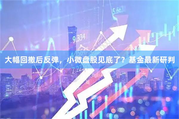 大幅回撤后反弹，小微盘股见底了？基金最新研判